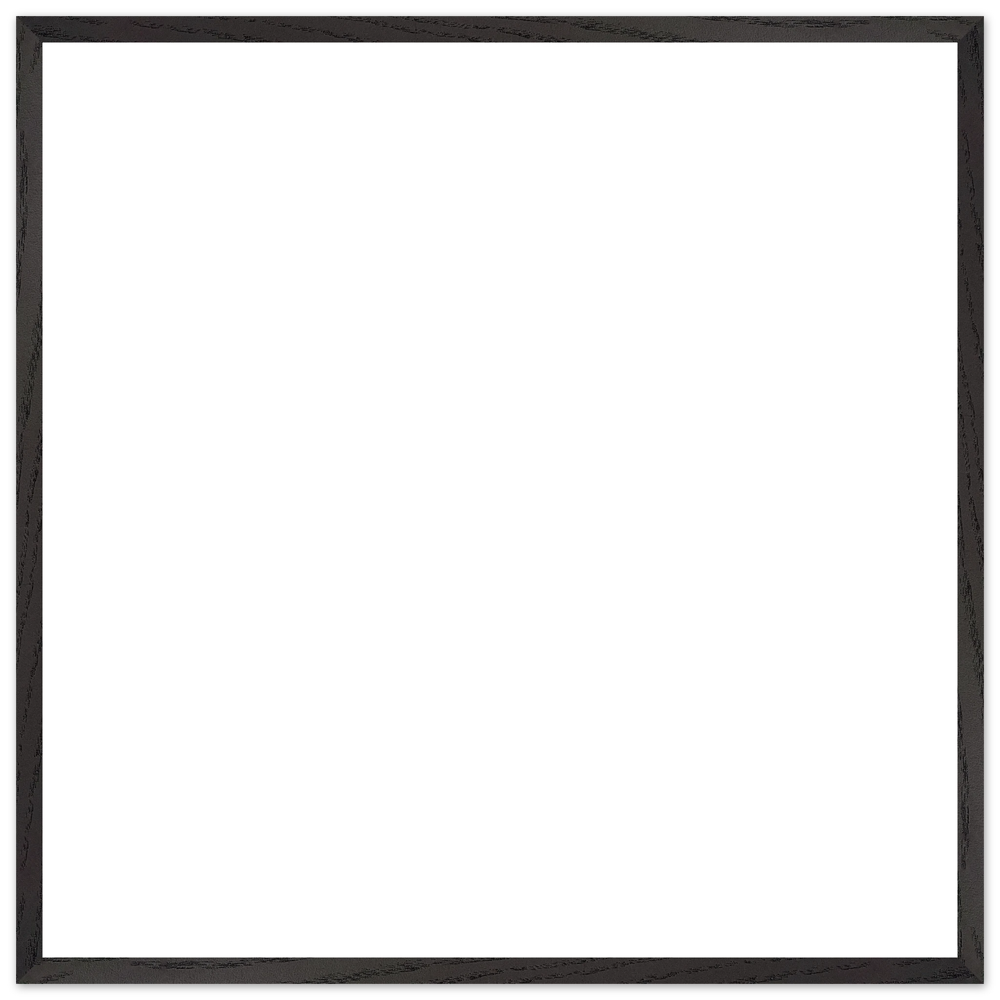 c5ced500-6882-4785-b51a-df6b533d167b